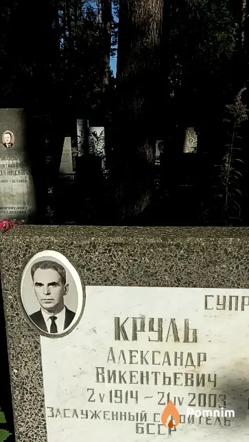 Круль Александр Викентьевич