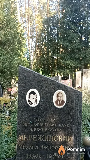 Мережинский Михаил Федорович