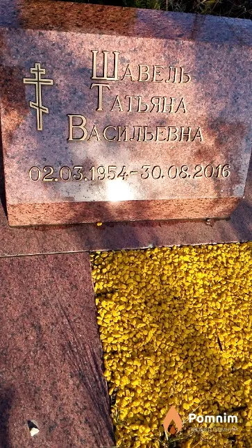 Шавель Татьяна Васильевна