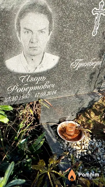 Гринберг Игорь Робертович