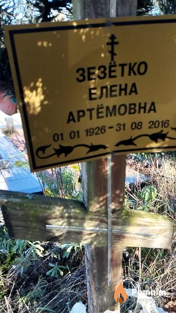 Зезётко Елена Артёмовна