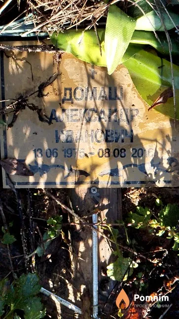 Домаш Александр Иванович