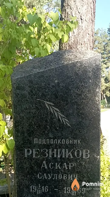 Резников Аскар Саулович