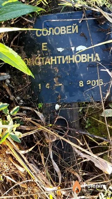 Соловей Елена Константиновна