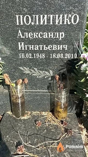 Политико Александр Игнатьевич