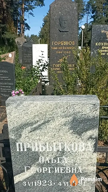 Прибыткова Ольга Георгиевна