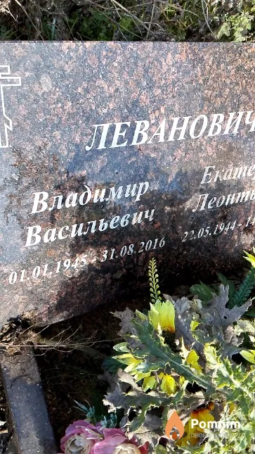 Леванович Владимир Васильевич