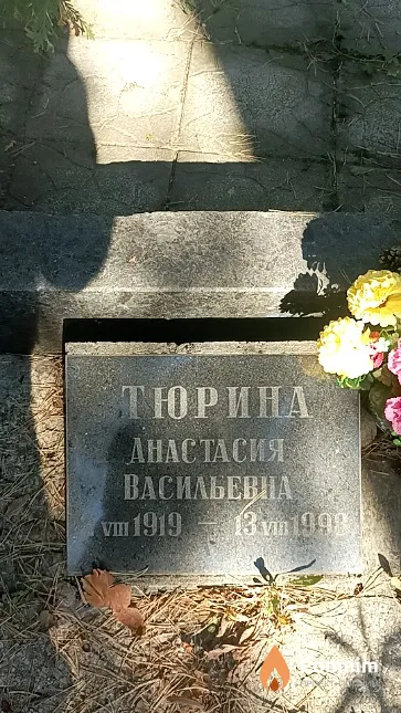 Тюрина Анастасия Васильевна