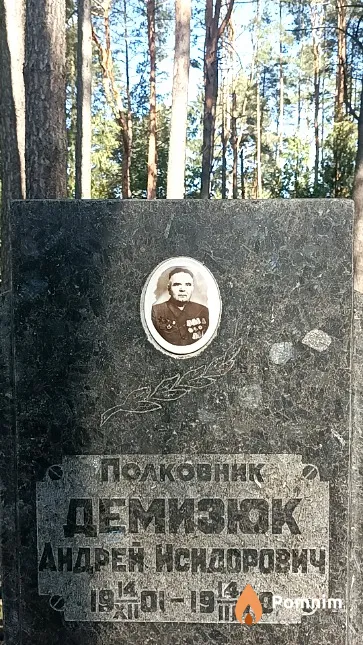 Демизюк Андрей Исидорович