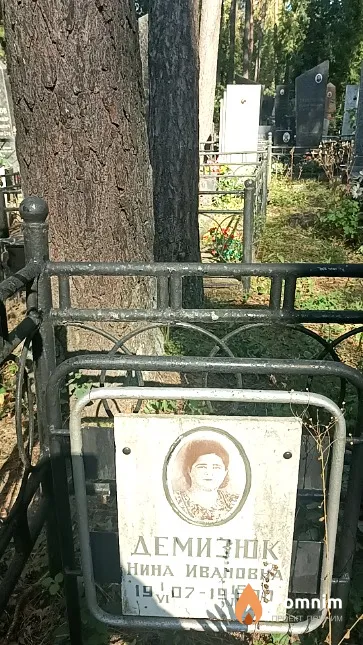 Демизюк Нина Ивановна