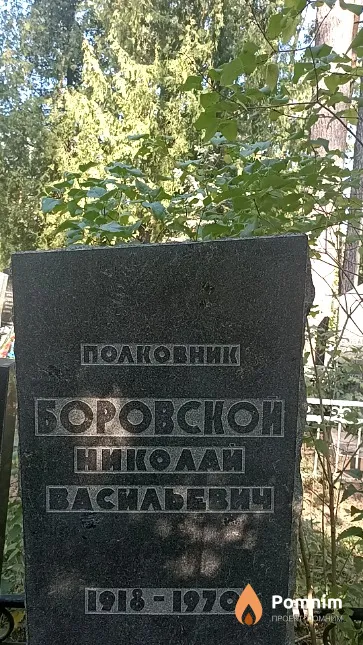 Боровской Николай Васильевич