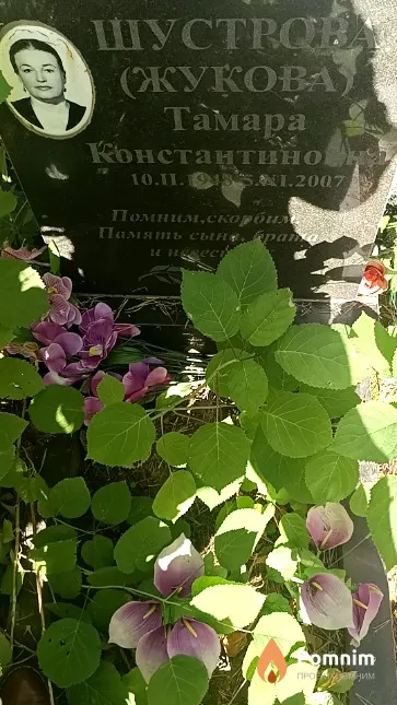 Шустрова (Жукова) Тамара Константиновна