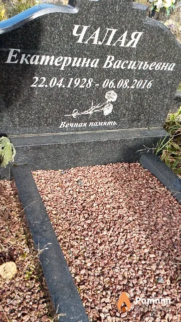 Чалая Екатерина Васильевна