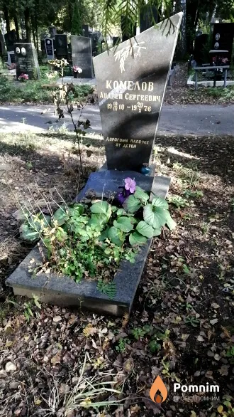 Комелов Андрей Сергеевич