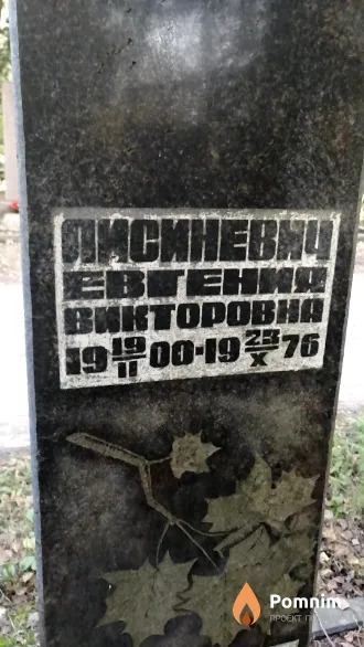 Писиневич Евгения Викторовна
