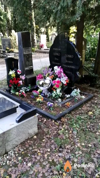 Аниськова Елена Петровна