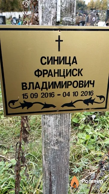 Синица Франциск Владимирович