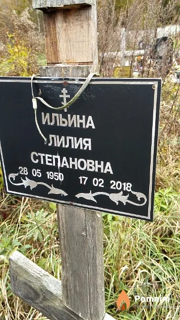 Ильина Лилия Степановна
