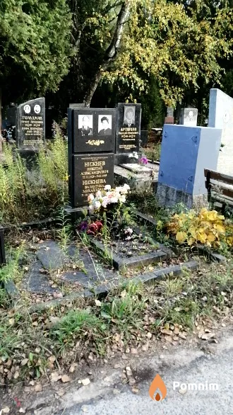 Нижнев Николай Александрович