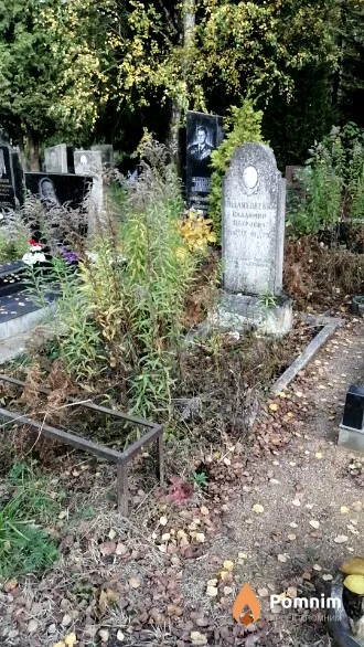 Подляховский Владимир Петрович