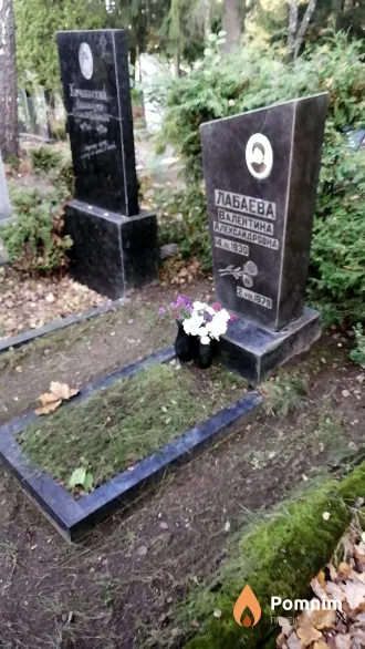 Лабаева Валентина Александровна