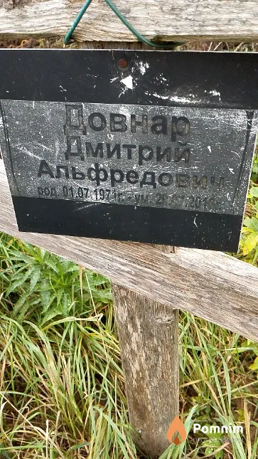 Довнар Дмитрий Альфредович