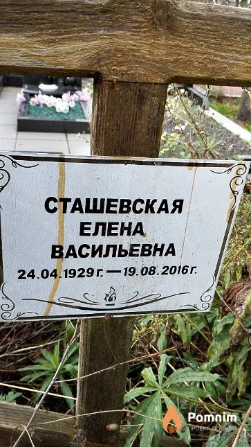 Сташевская Елена Васильевна