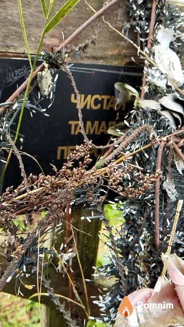 Чистая Тамара Петровна