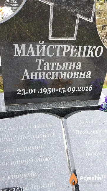 Майстренко Татьяна Анисимовна