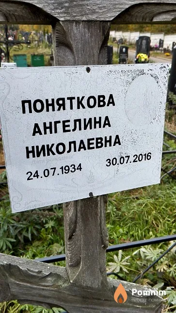 Поняткова Ангелина Николаевна
