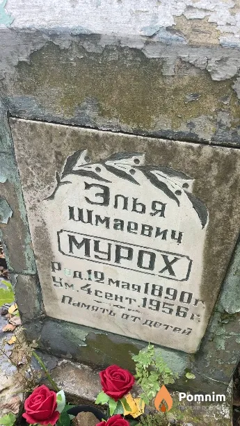 Mypox Эльф Шмаевич