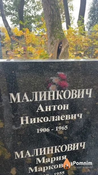 Малинкович Антон Николаевич