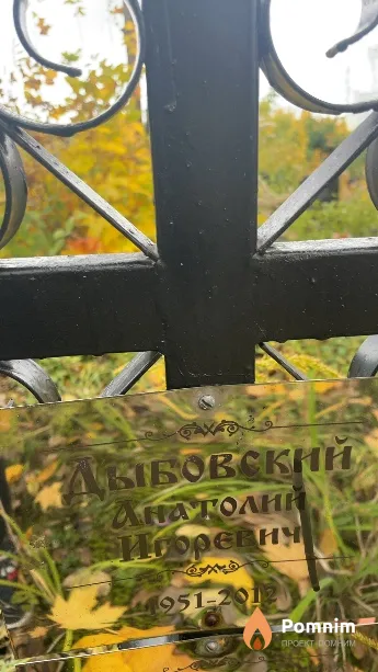 Дыбовский Анатолий Игоревич