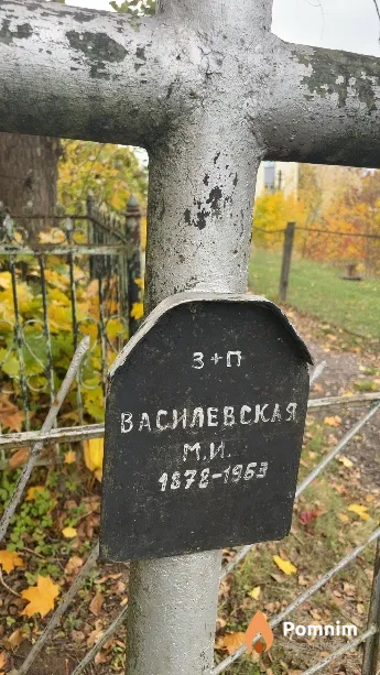 Василевская М И