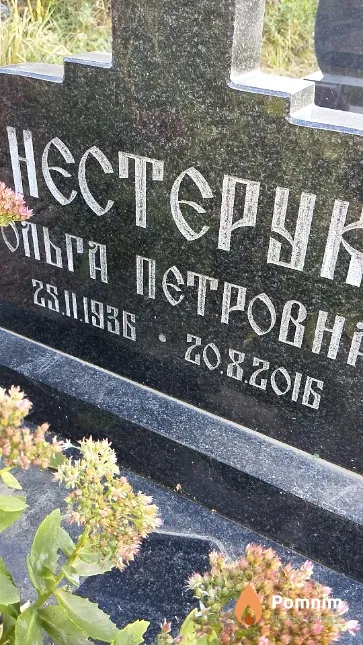 Нестерук Ольга Петровна