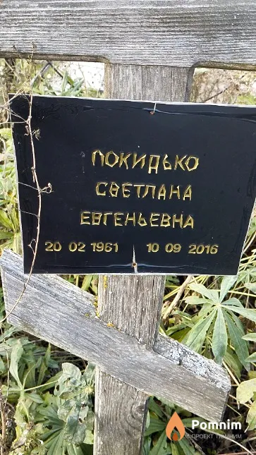 Покидько Светлана Евгеньевна