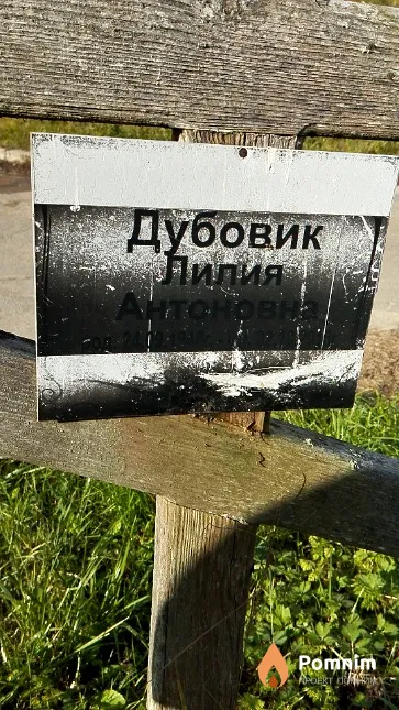 Дубовик Лилия Антоновна