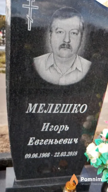 Мелешко Игорь Евгеньевич