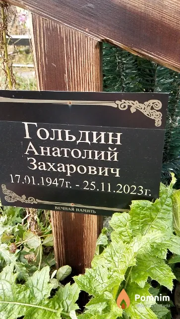 Гольдин Анатолий Захарович