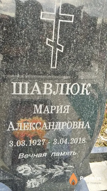 Шавлюк Мария Александровна