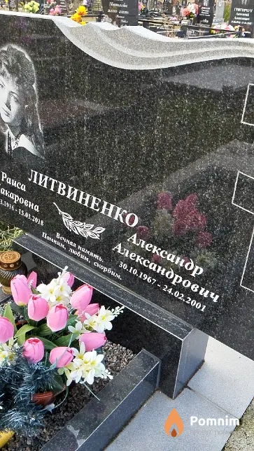 Литвиненко Александр Александрович