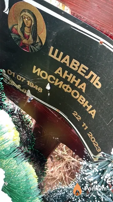 Шавель Анна Иосифовна