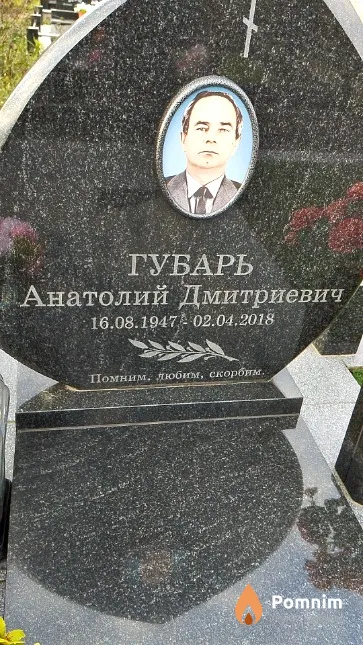 Губарь Анатолий Дмитриевич
