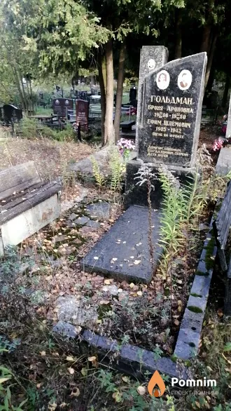 Гольдман Броня Ароновна