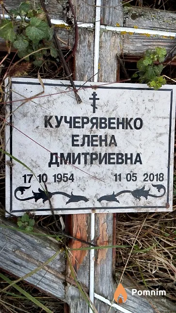 Кучерявенко Елена Дмитриевна