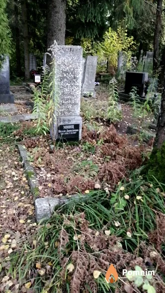 Минц Михаил Владимирович