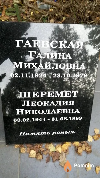 Шеремет Леокадия Николаевна
