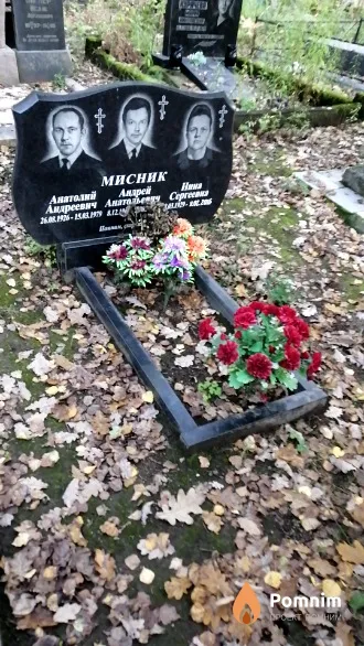 Мисник Анатолий Андреевич