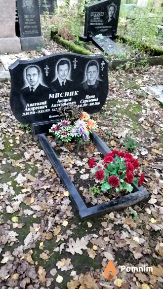 Мисник Нина Сергеевна
