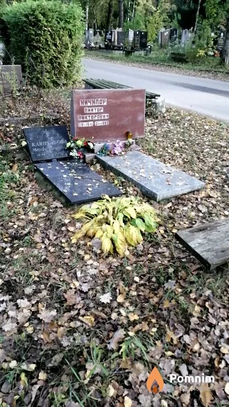 Ничипор Виктор Викторович